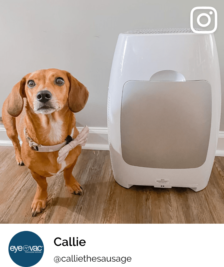 EyeVac Air 1
